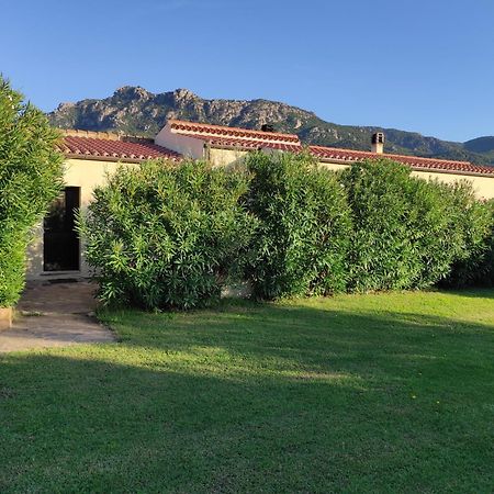 Agriturismo Asara Padru Exterior foto